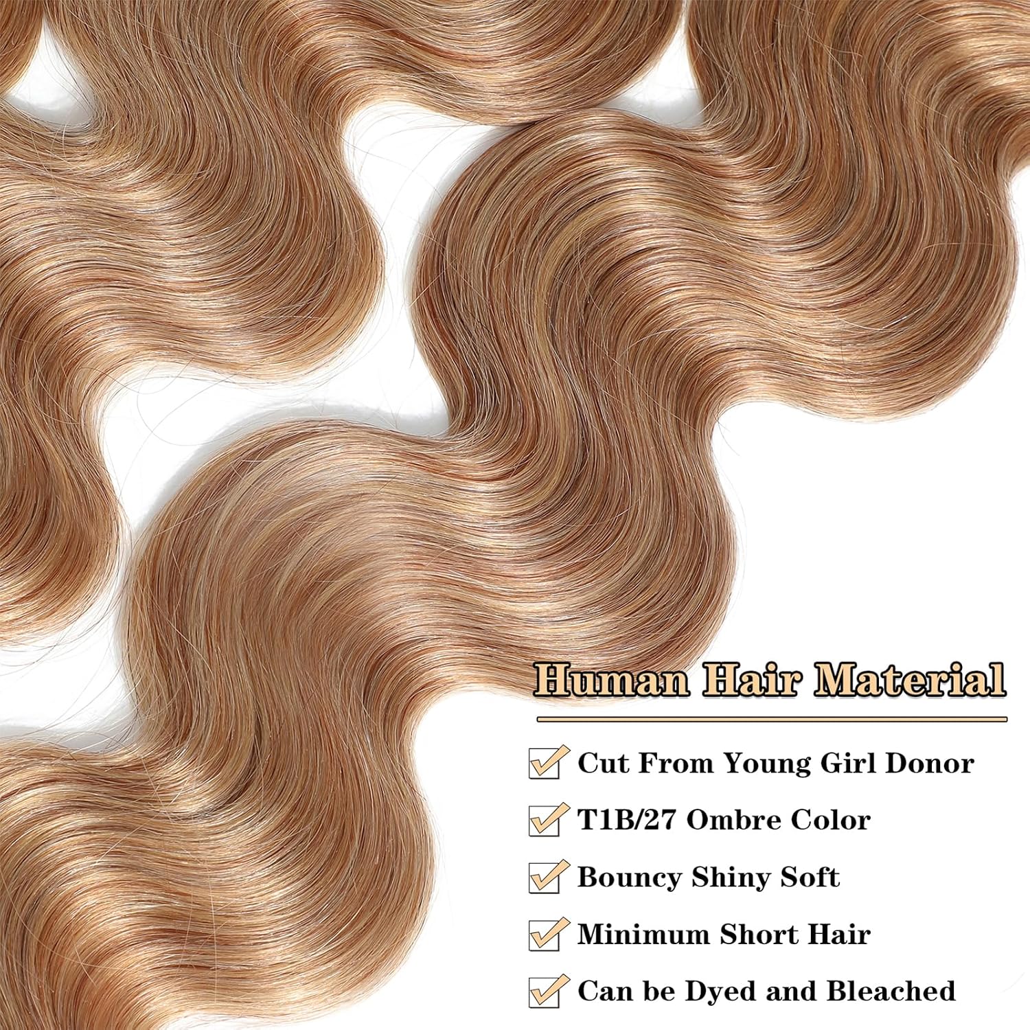 Ombre Waves Hair Extensions
