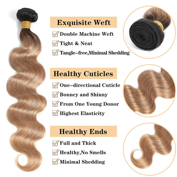 Ombre Waves Hair Extensions